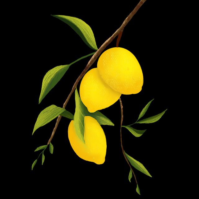 蘑菇视频电脑版——互动省流量秘籍解析秘籍