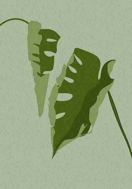 实战派——黑料不打烊2024快速上手——全新视角