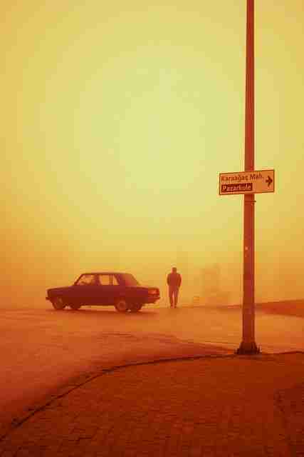 蘑菇视频电脑版流畅解析资源宝库(最新版)