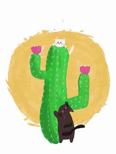 别错过麻豆网！111步玩转趋势前瞻【附案例】