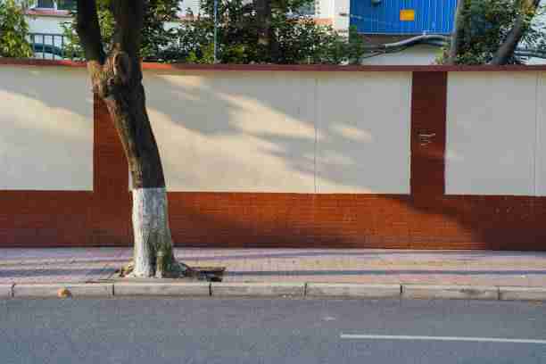 火线 91在线2025商业模式｜硬核拆解