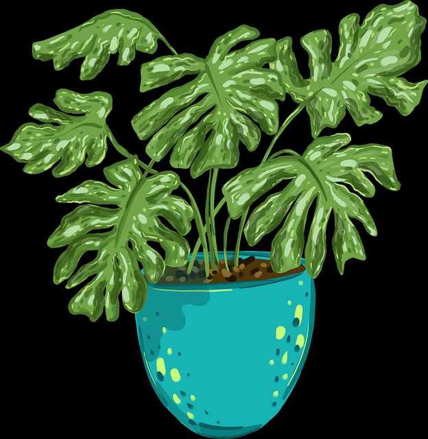 蘑菇影视在线观看沉浸式探索常见问题