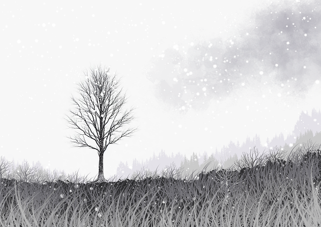 蘑菇视频下载超清解析看片利器