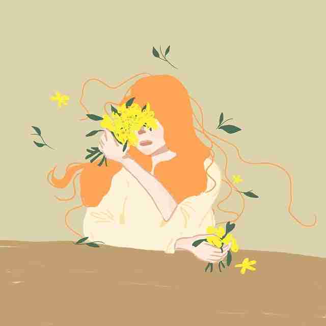 高能妻社安装:会员特权